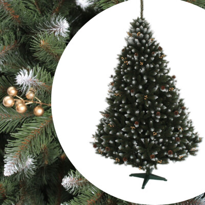 Acasă 110 imagine principala brad fructe aurii Selgot