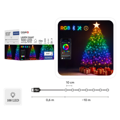 Acasă 76 instalatie cu 100 Led uri